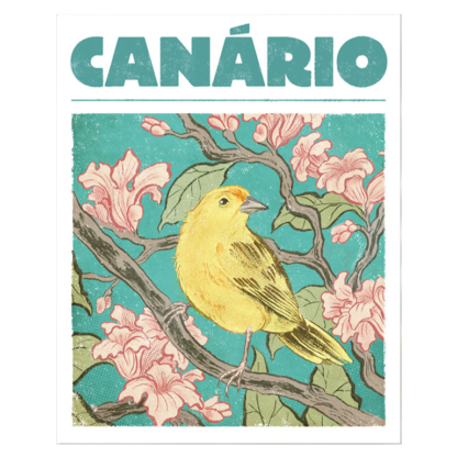 cartaz Canário